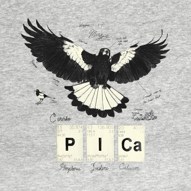noun Pica: Commonly known as the Magpie by Shadowsantos